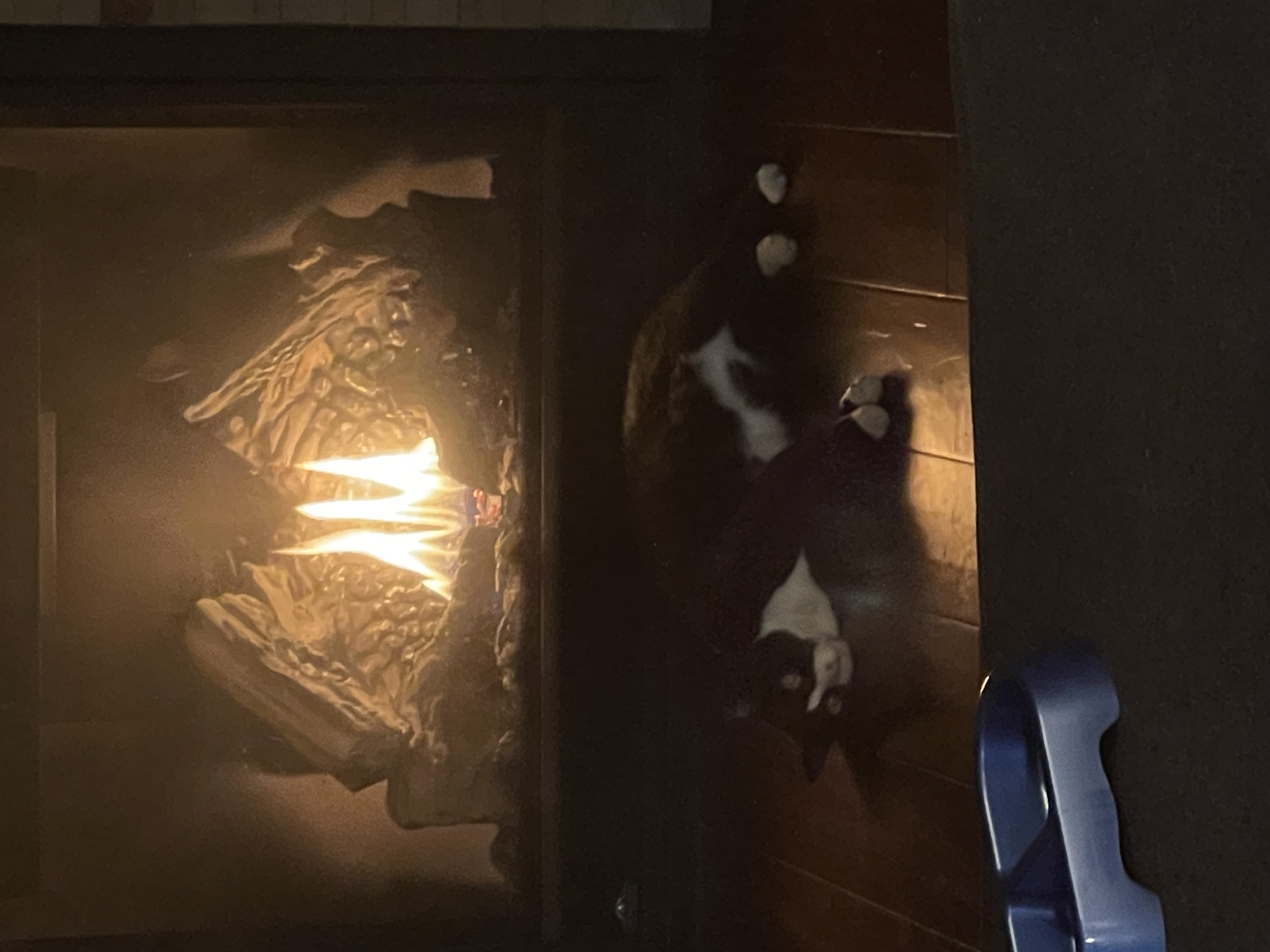 One of our cats, Zelda, by the fireplace.